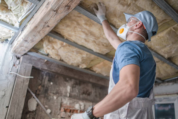 Best Insulation Contractor Near Me  in Lagrange, IN
